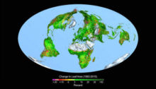 CO2 verdissement