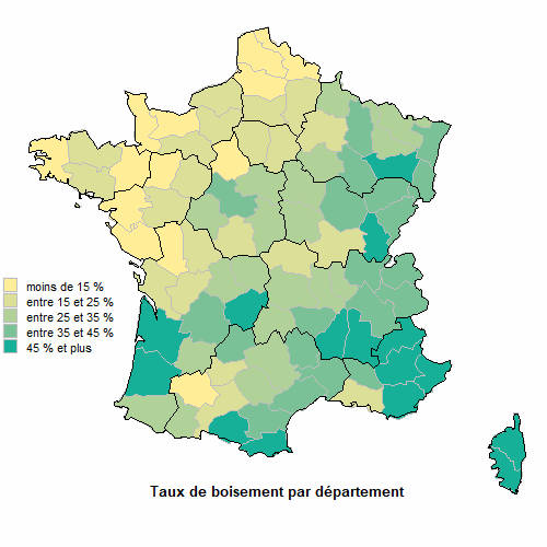 Forêt