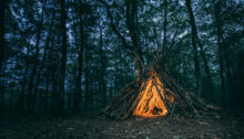 feux de forêt