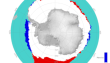 Banquise antarctique