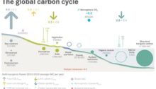 Cycle du carbone