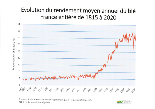 rendements du blé