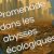 de Rouville