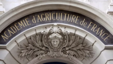 Sélosse