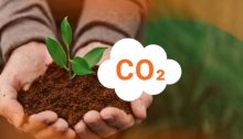 Crédit carbone
