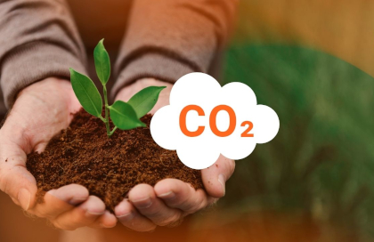 Carbon markets: scientific fragility of the mechanism